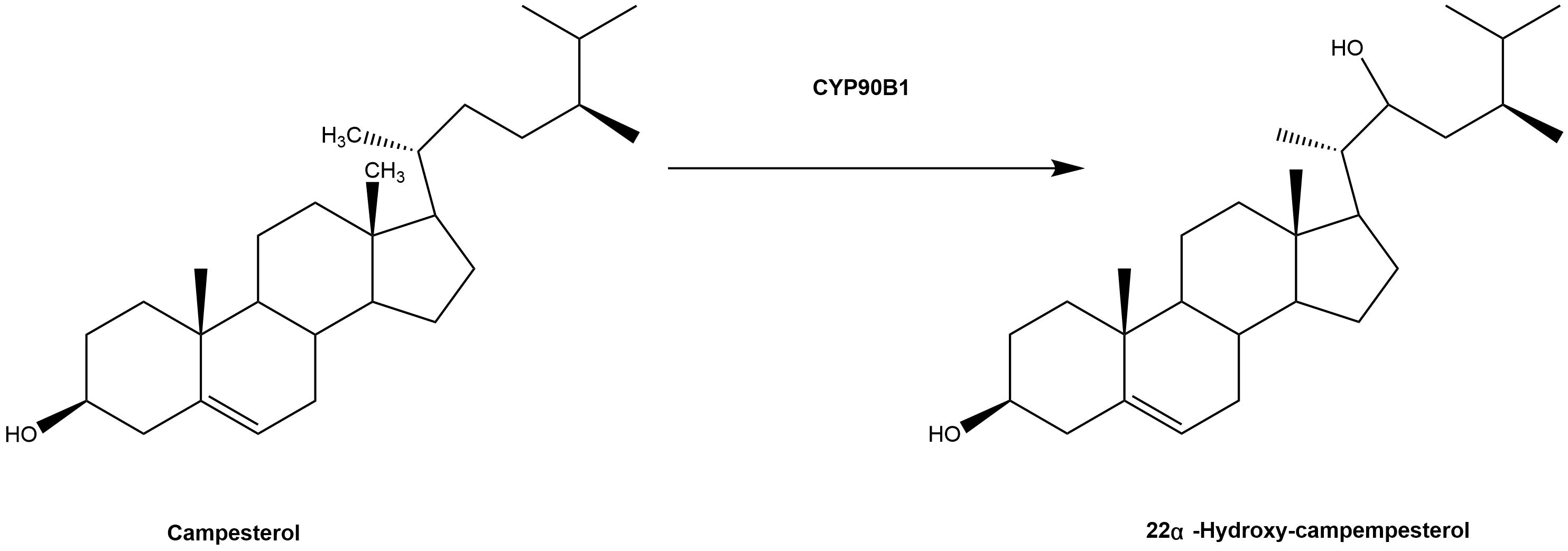 reaction