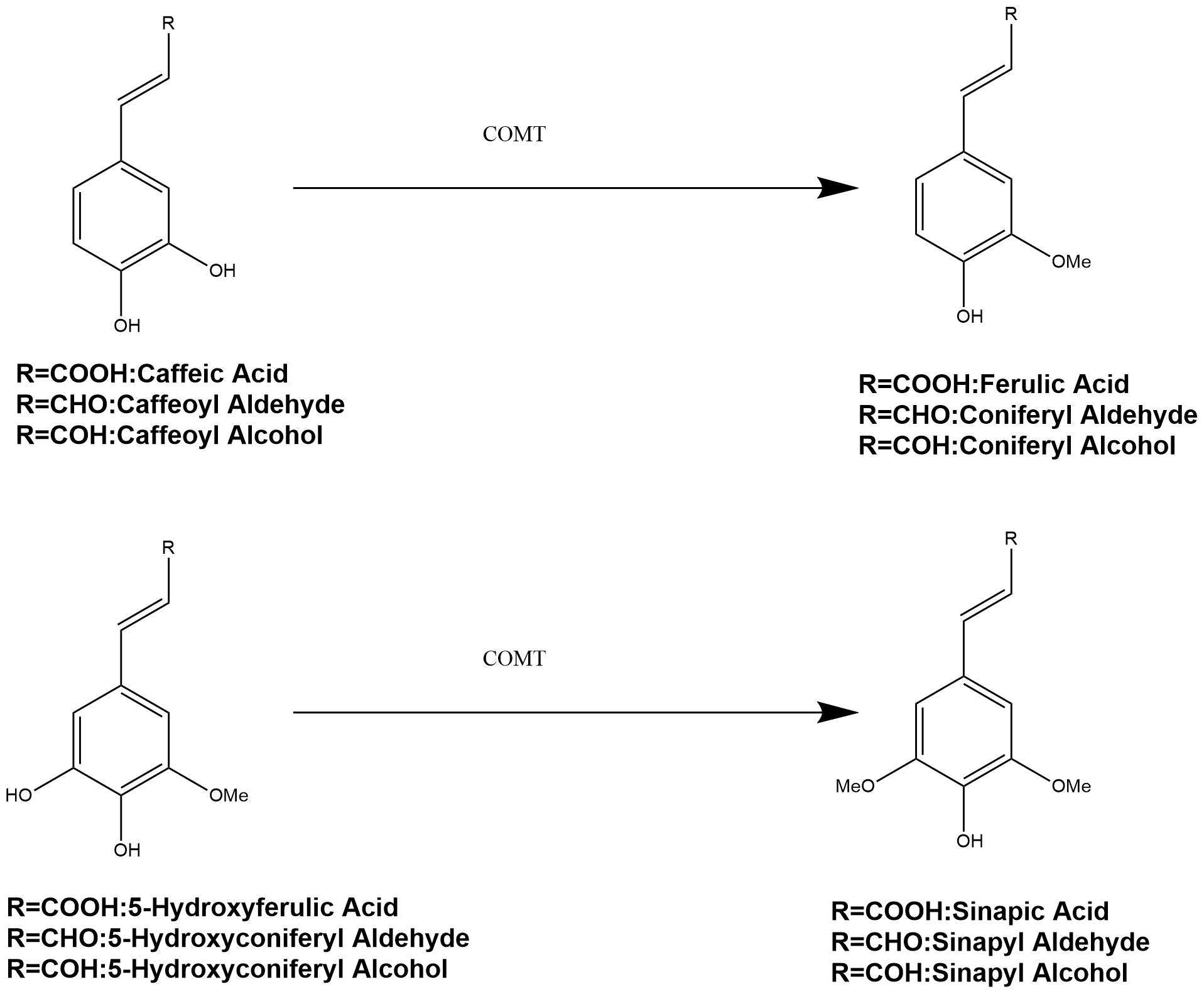 reaction