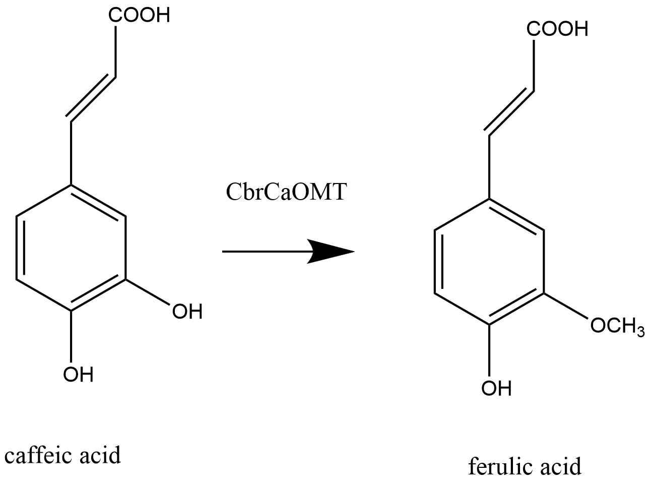 reaction