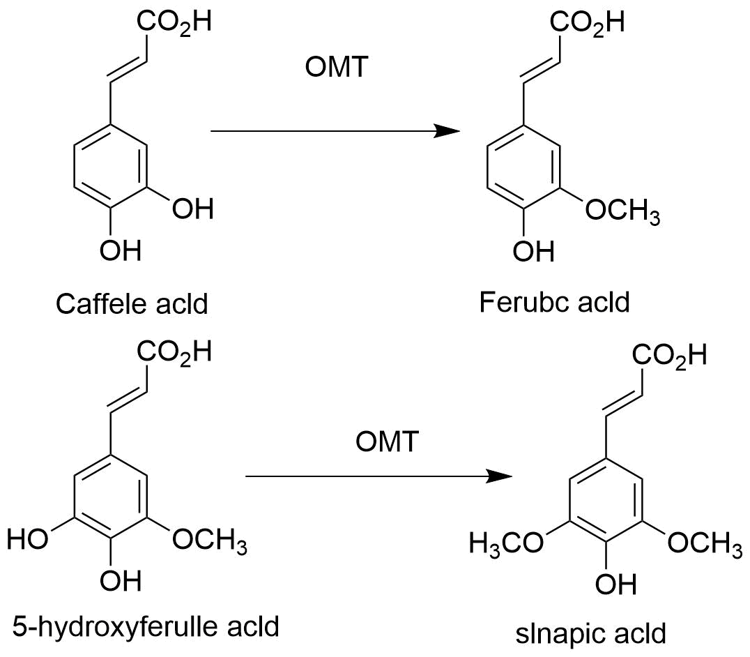 reaction