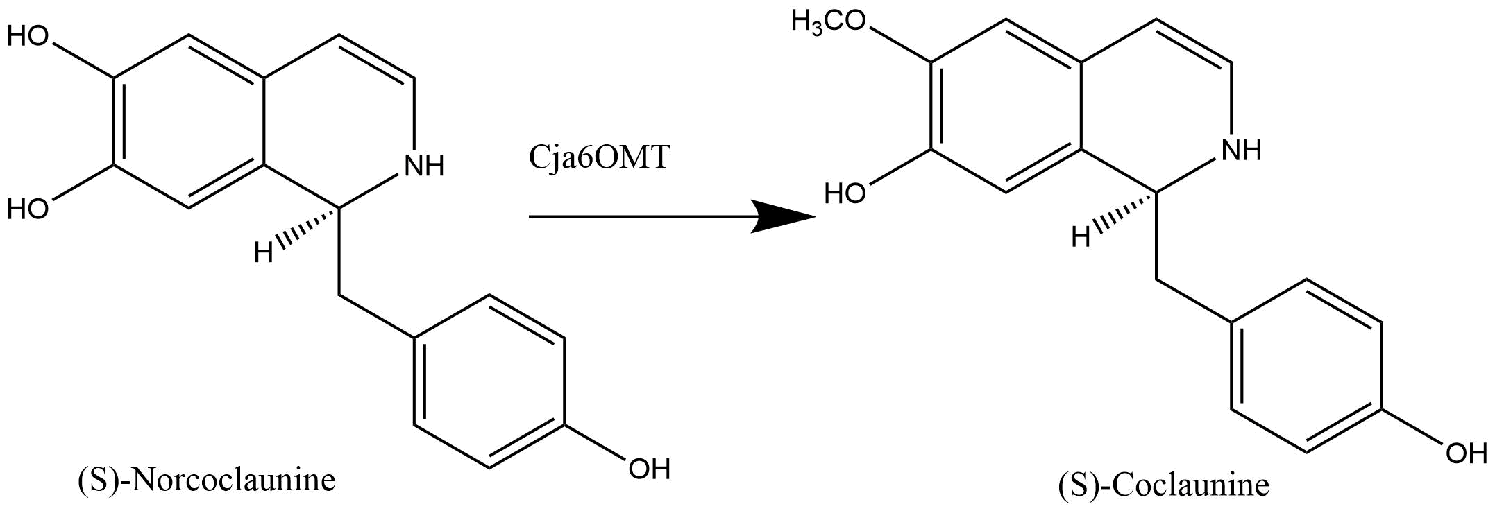 reaction