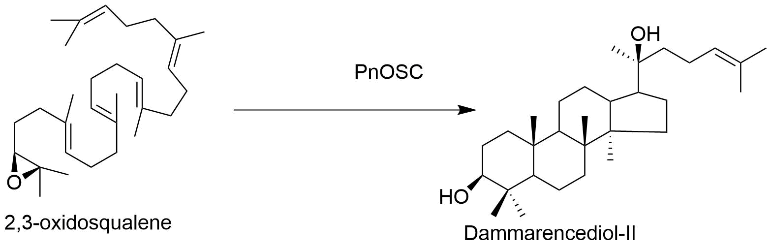 reaction