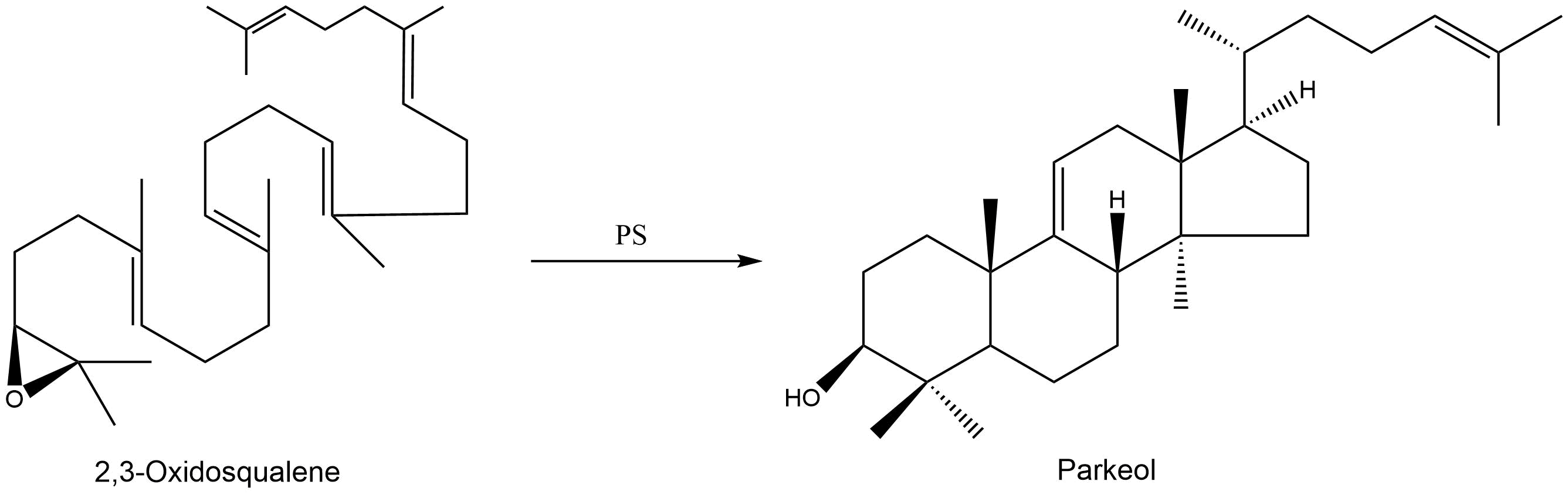 reaction