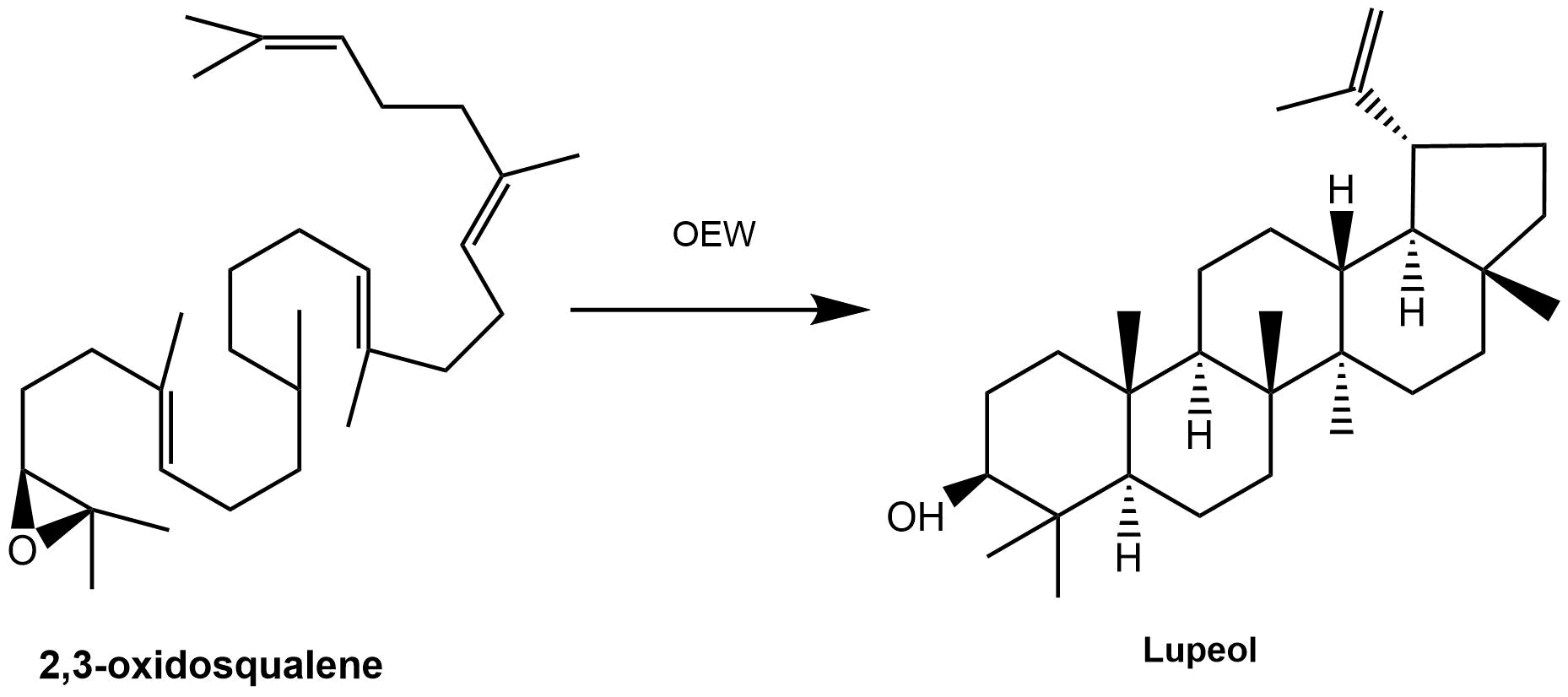 reaction