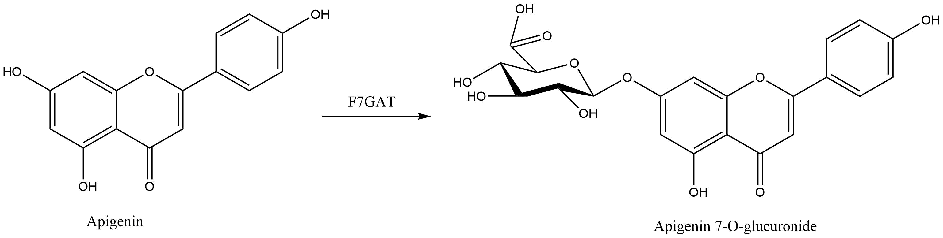 reaction